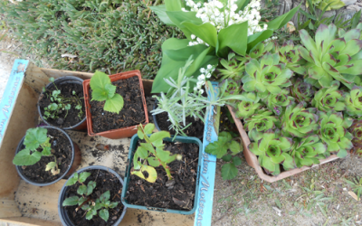 Journée Nature – Le samedi 4 Mai