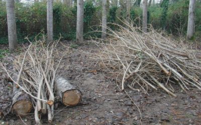 Dernier trimestre de 2019 : travaux d’hiver